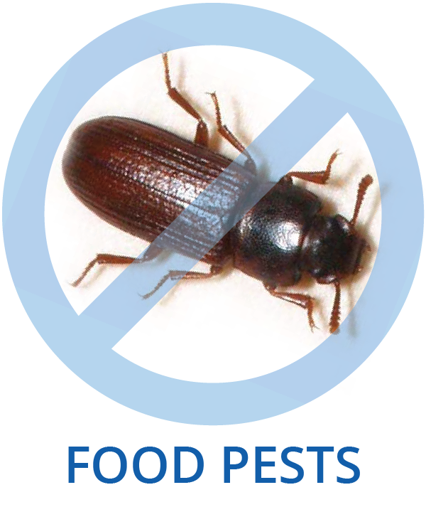 Food Pests