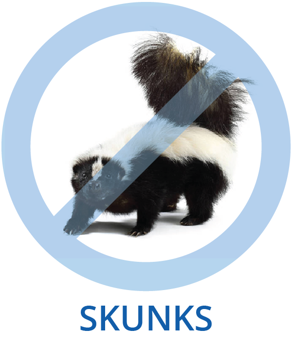Skunk Control